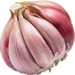 Fresh Garlic