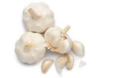 Indian Garlic