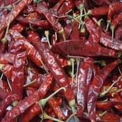 Dry Red Chilli - Premium Quality Dried Spices | Pungent Flavor for Sauces and Pickles, Enhances Culinary Dishes