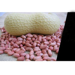 Satin Groundnut Seeds