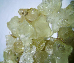 Gum Olibanum