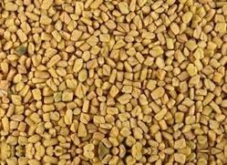 Fenugreek Seeds