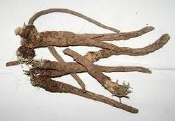 Pellitory Root