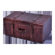 Best Quality Home Trunk