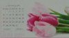 Table Calendar (NTL-09 Pretty Wonderful Flower)