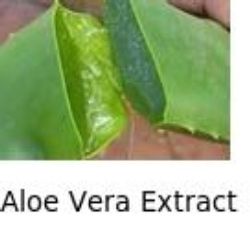 aloe vera extract