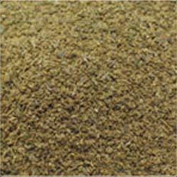 Celery Seed