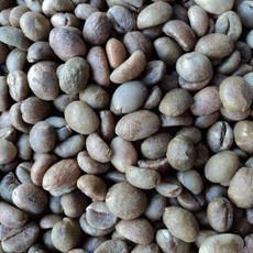 Robusta Coffee Beans