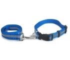 High Quality Collar And Leash With Reflective Band