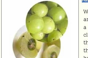 Natural Amla Candy