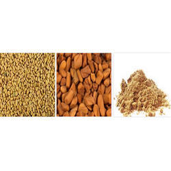 Fenugreek Seed