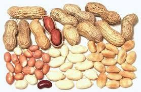 Groundnuts