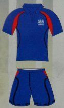 Ps 310 Cricket Practice Tracksuit