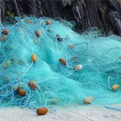 Nylon Fishing Nets In Coimbatore - Prices, Manufacturers & Suppliers