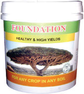 Healthy and High Yield Foundation Organic Nutrients