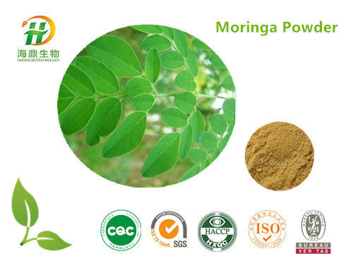 Moringa Oleifera Powder