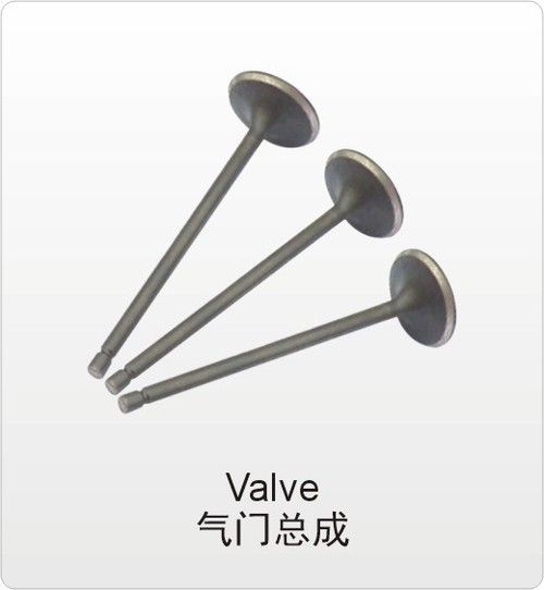 Exhaust Valve