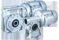 Worm Gear Motors