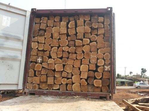 African Teak Wood Yavi Impex Private Limited 58 4 Arun Complex