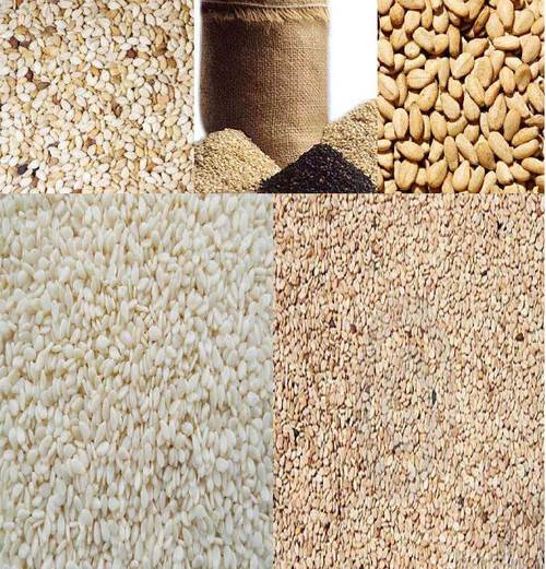 Sesame Seeds