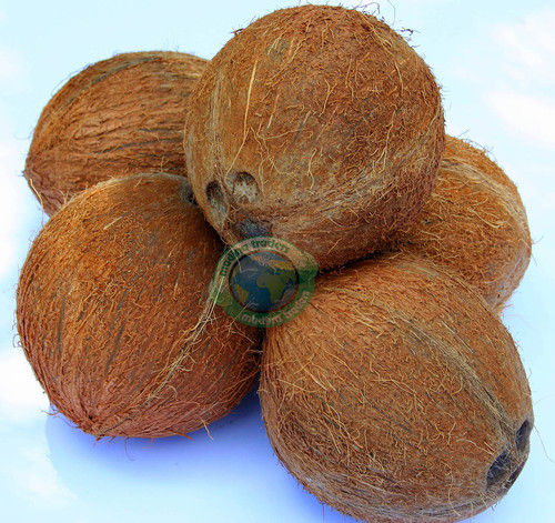 Dry Coconut