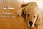 PVC Flooring