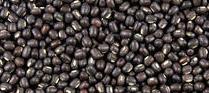 Urad Whole (Pulses)