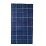 Poly Solar Module Panel