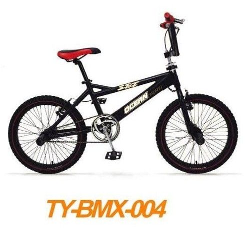 BMX Bicycle