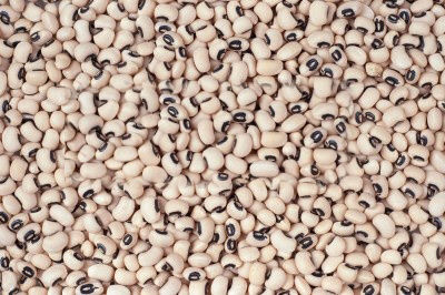 Black Eye Beans - Premium Quality | Nutrient-Rich, Pure and Safe for Consumption