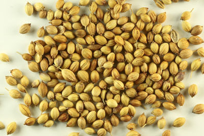 Coriander Seeds