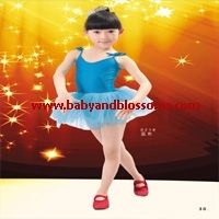 Girls Ballet Dance Dress