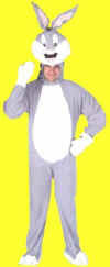 Kids Bunny Costume