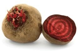 Beet Root