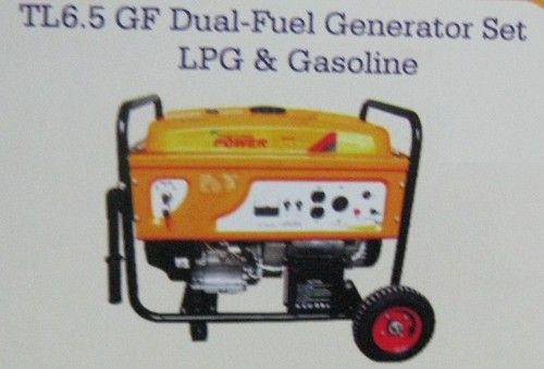 Gf Dual-Fuel Generator Set Lpg And Gasoline (Tl6.5)