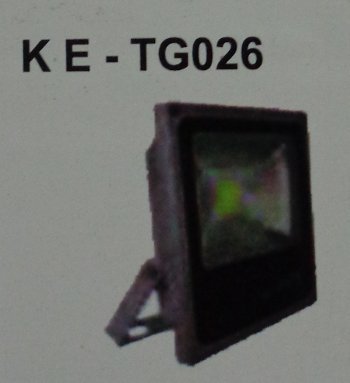 LED Flood Light (KE-TG026)
