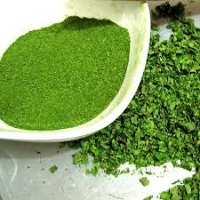 Moringa Powder