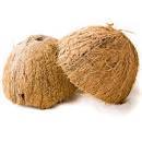 Raw Coconut Shell