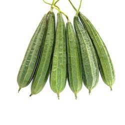 Ridge Gourd