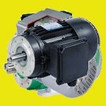 Silver Three Phase Asynchronous Electric Motor