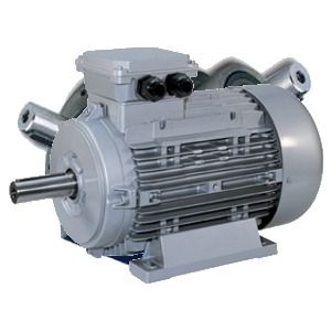 Three Phase Inverter Asynchronous Electric Motor