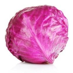 Steel Red Cabbage