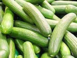 Seedless Cucumber