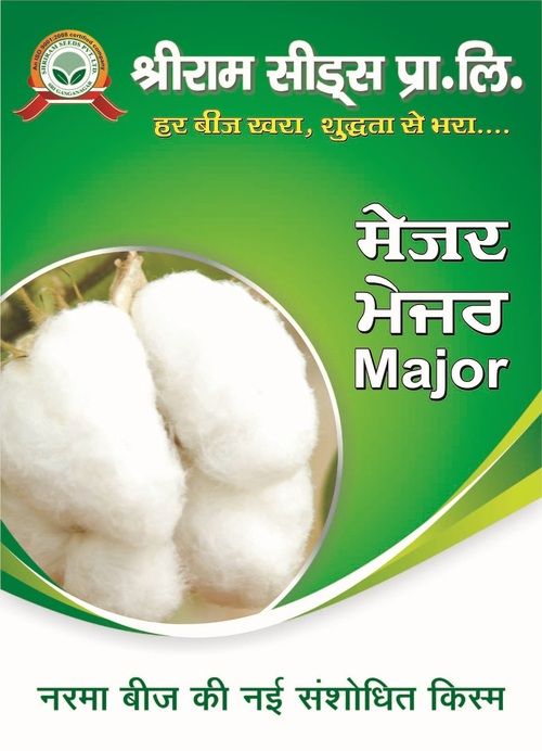 Cotton Seed