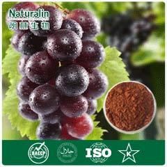 Grape Seed And Skin Extract