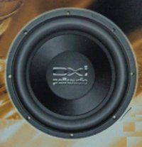 12" Subwoofer (DXi124DVC)