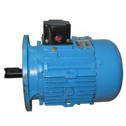 Standard Shaft Motors