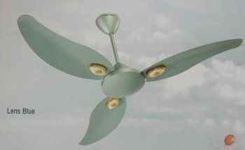 Decorative Fans (Lerone)