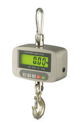 Electronic Crane Scale