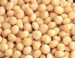 Macadamia Nuts